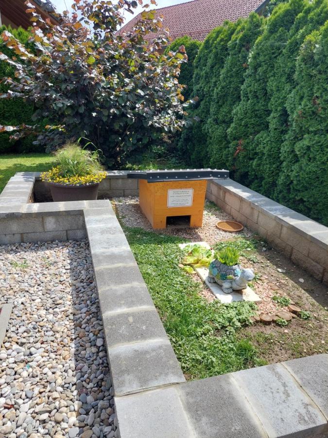 Apartma Zirovnik Cerklje na Gorenjskem Bagian luar foto