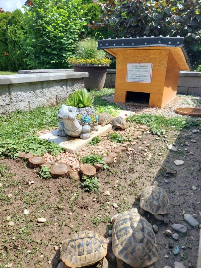Apartma Zirovnik Cerklje na Gorenjskem Bagian luar foto